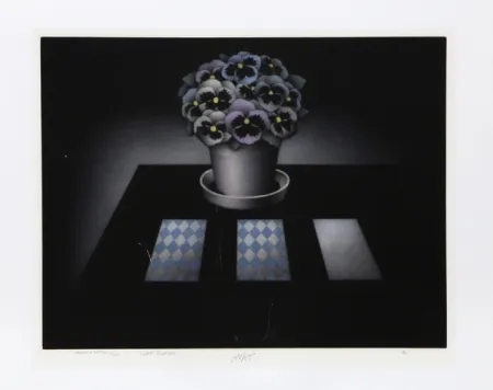 Meio-Tom Avati - Carte Blanche