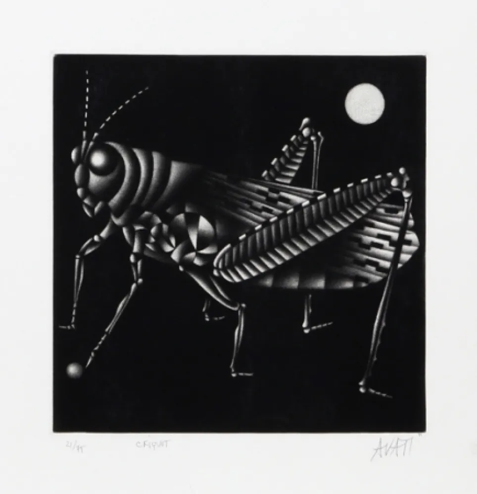 Meio-Tom Avati - Criquet