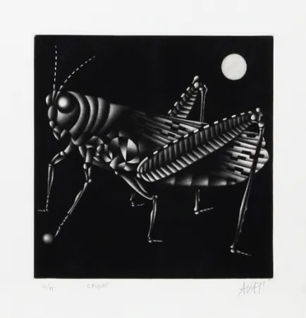 Meio-Tom Avati - Criquet