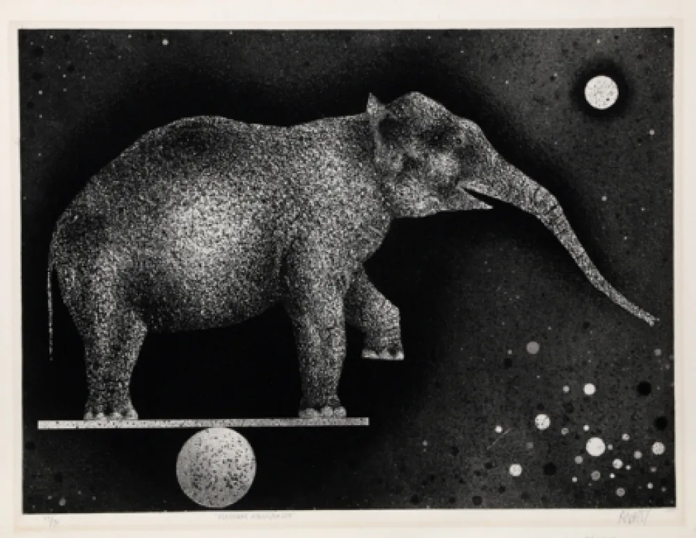 Meio-Tom Avati - Elephant Equilibriste