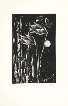 Água-Tinta Avati - Les papillons de Nagasaki