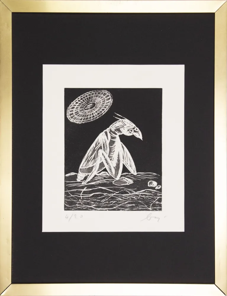 Água-Forte Baj - Il grillo di palude