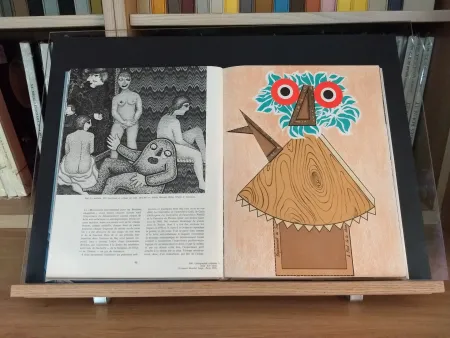 Livro Ilustrado Baj - No 44