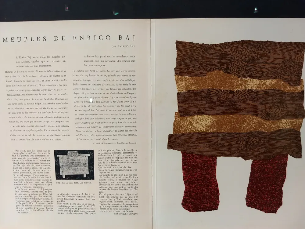 Livro Ilustrado Baj - Xxe No 20