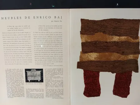 Livro Ilustrado Baj - Xxe No 20