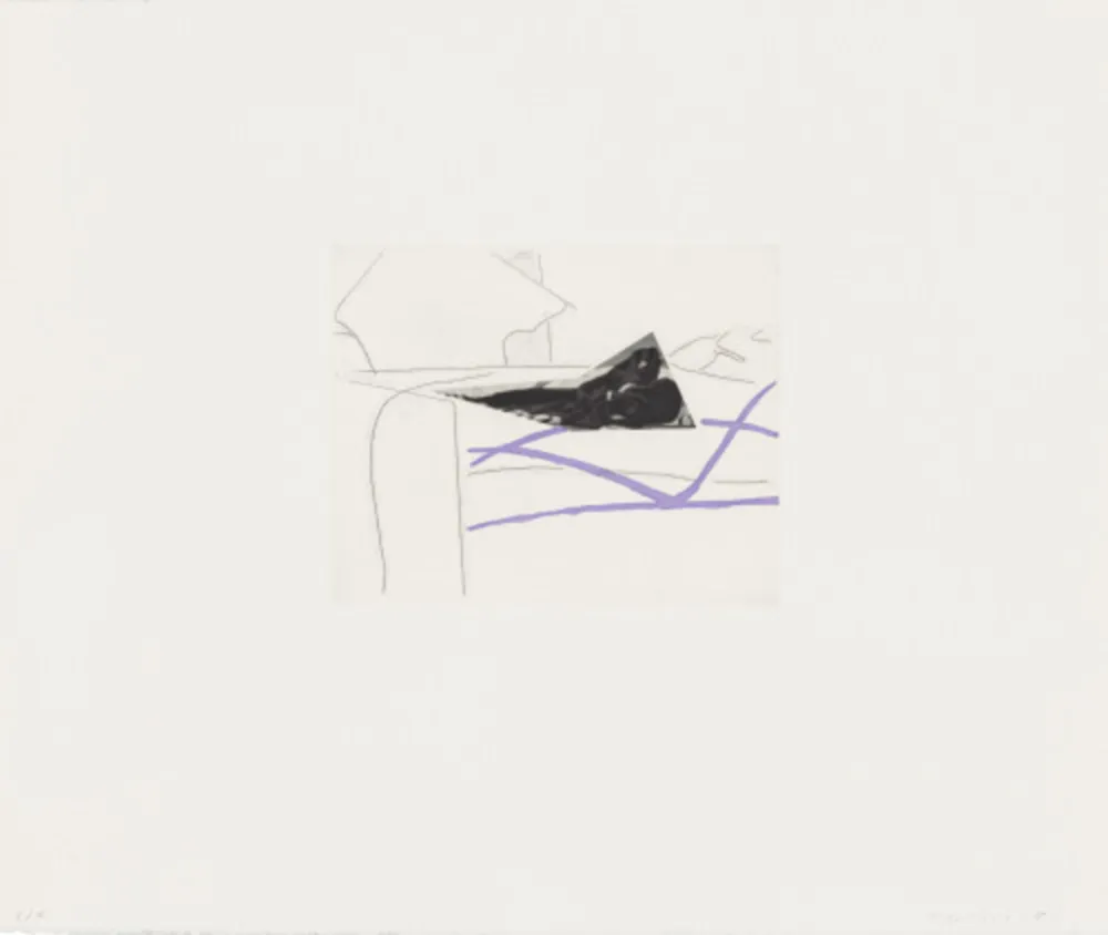 Água-Forte E Água-Tinta Baldessari - Black Dice 5