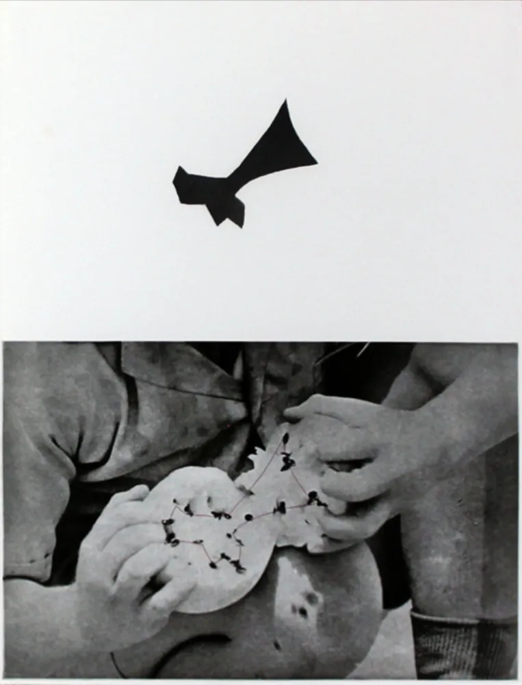Água-Forte E Água-Tinta Baldessari - Seeds