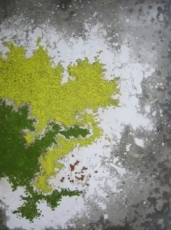 Gravura Ballif - LeVenez