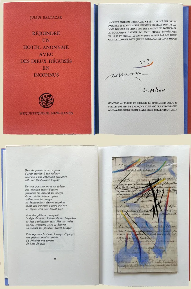 Monotipia Baltazar - (Luis Mizón) REJOINDRE UN HOTEL ANONYME AVEC DES DIEUX DÉGUISÉS EN INCONNUS (2022)‎