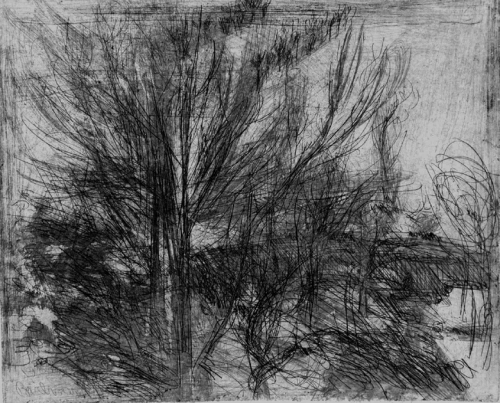 Água-Forte Barbisan - Alberi