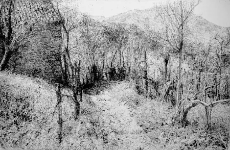 Água-Forte Barbisan - Paesaggio in collina