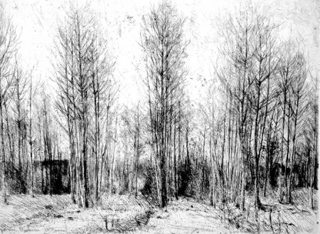 Água-Forte Barbisan - Pioppi