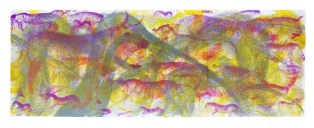 Litografia Barcelo - Ibis