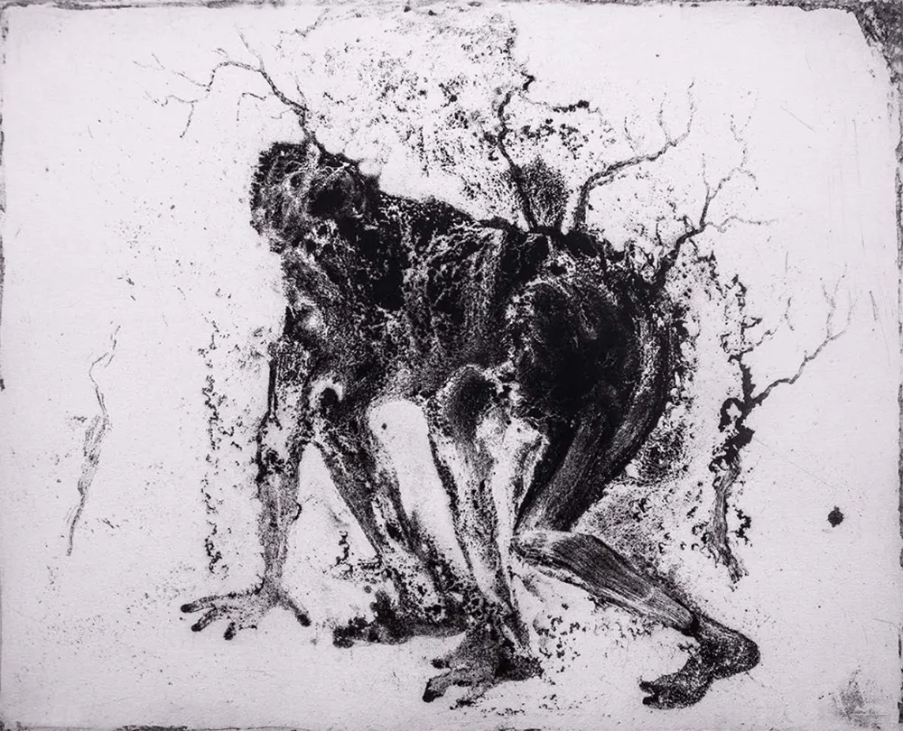 Água-Forte E Água-Tinta Barcelo - Lanzarote 11