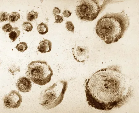 Água-Forte E Água-Tinta Barcelo - Lanzarote 18