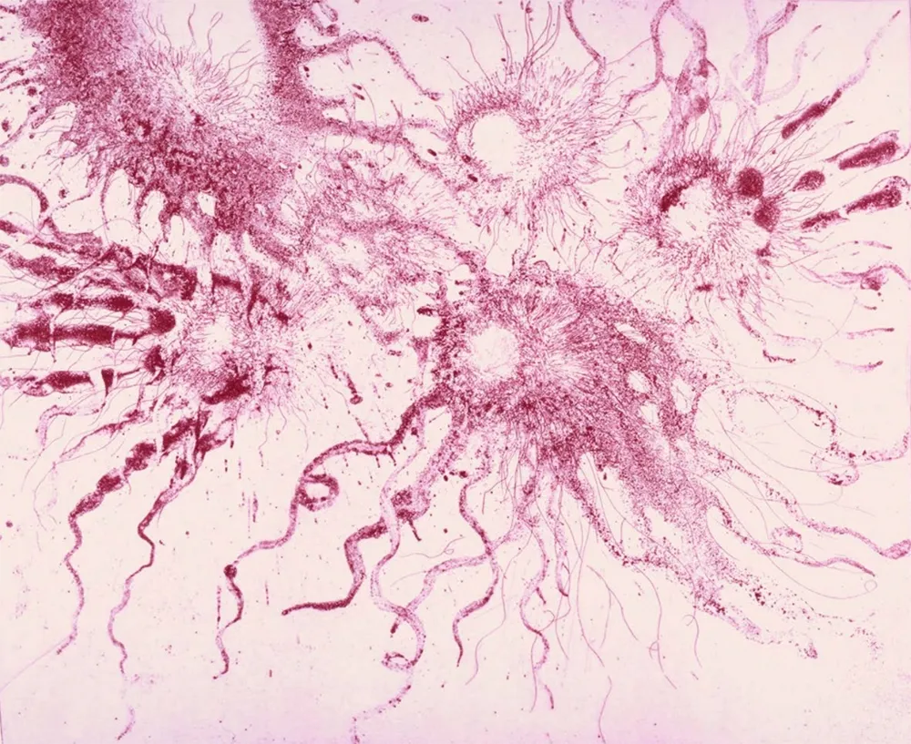 Água-Forte E Água-Tinta Barcelo - Lanzarote 20