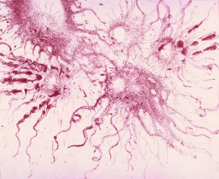 Água-Forte E Água-Tinta Barcelo - Lanzarote 20