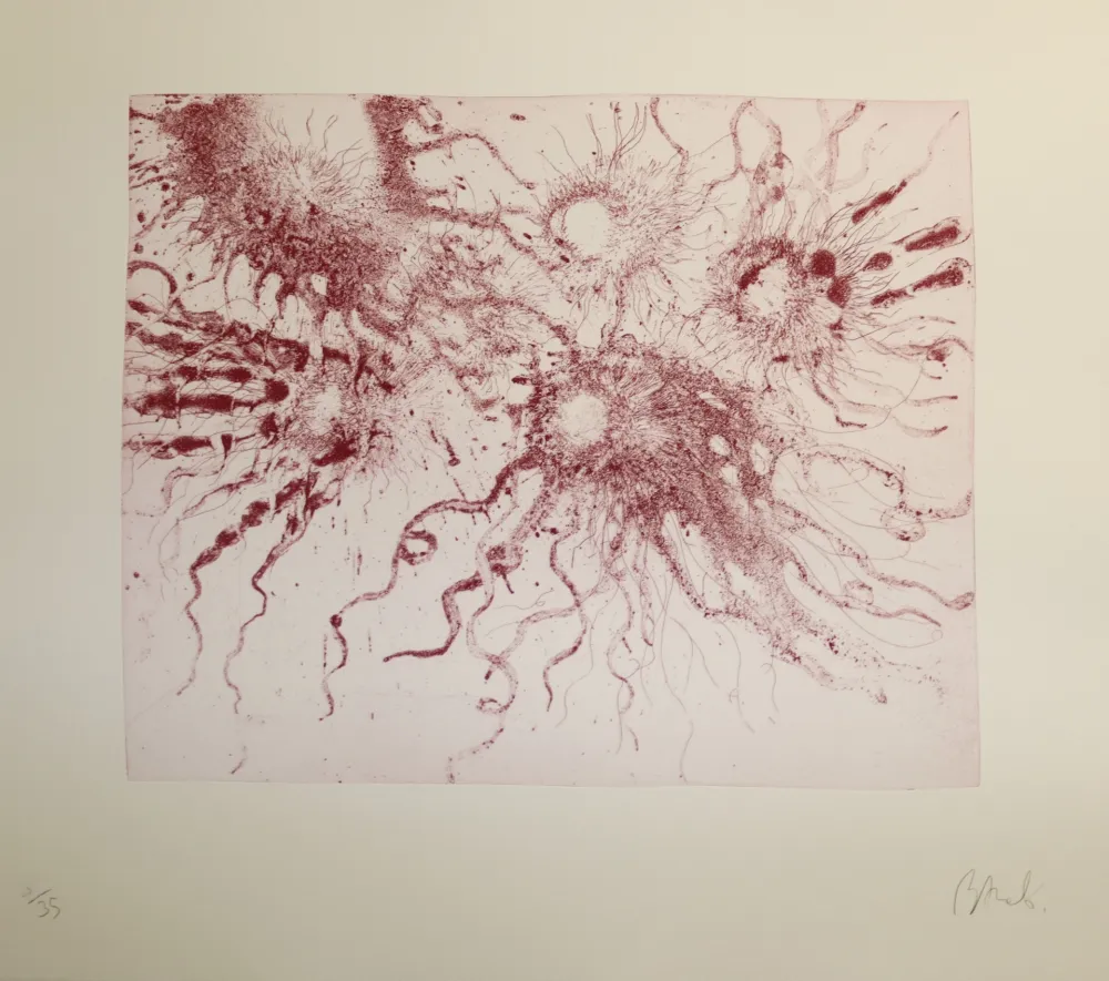 Água-Forte E Água-Tinta Barcelo - Lanzarote 20