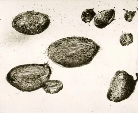 Água-Forte E Água-Tinta Barcelo - Lanzarote 22