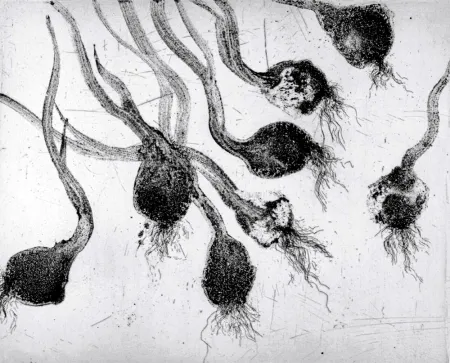 Água-Forte E Água-Tinta Barcelo - Lanzarote 24