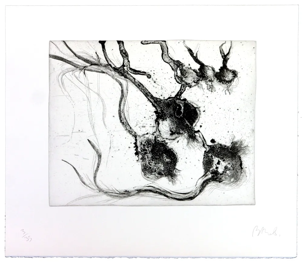 Gravura Barcelo - Lanzarote 25