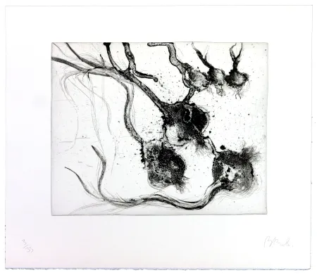 Gravura Barcelo - Lanzarote 25