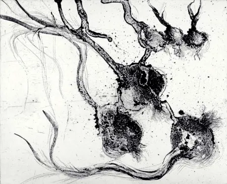 Gravura Barcelo - Lanzarote 25