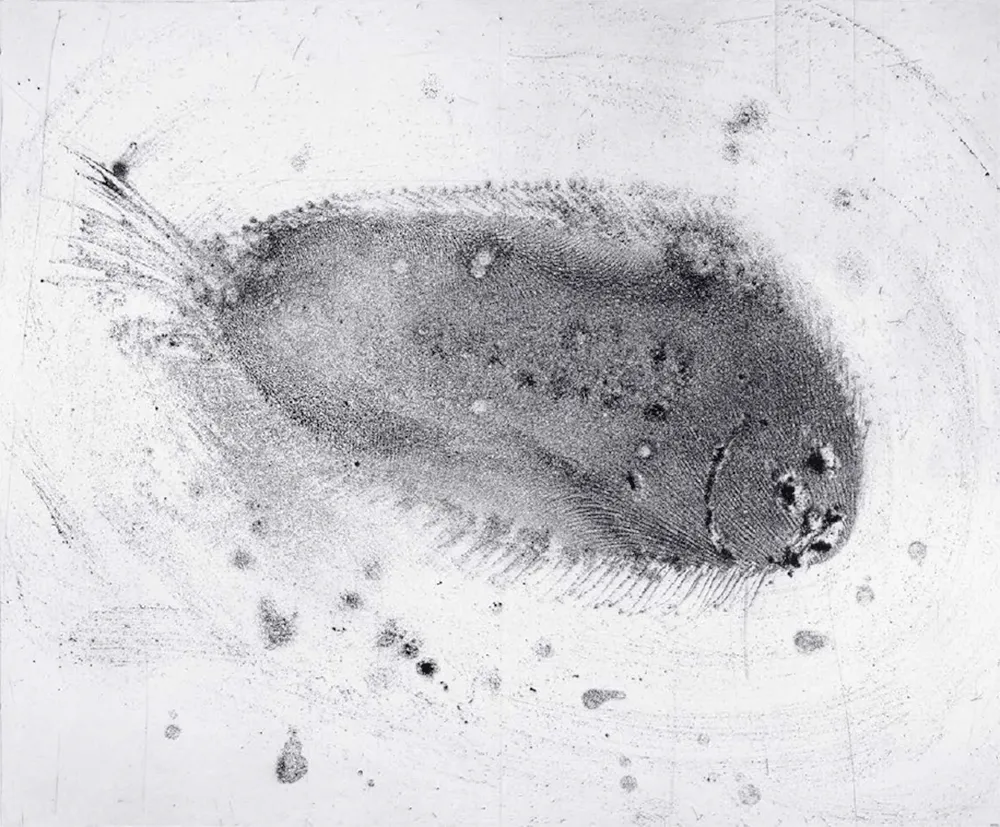 Água-Forte E Água-Tinta Barcelo - Lanzarote 39