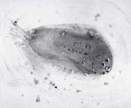 Água-Forte E Água-Tinta Barcelo - Lanzarote 39