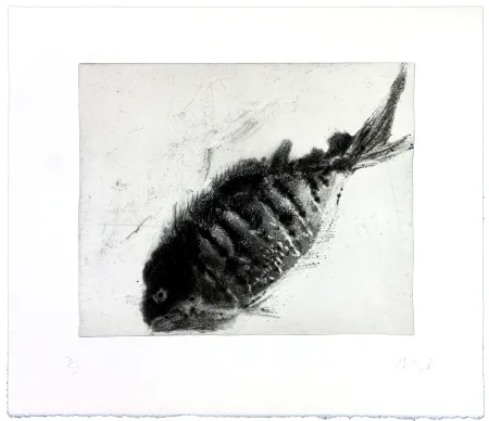 Gravura Barcelo - Lanzarote 39