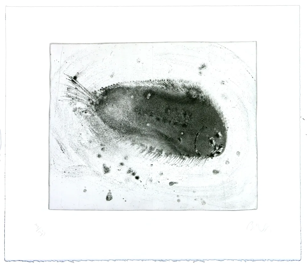 Gravura Barcelo - Lanzarote 39