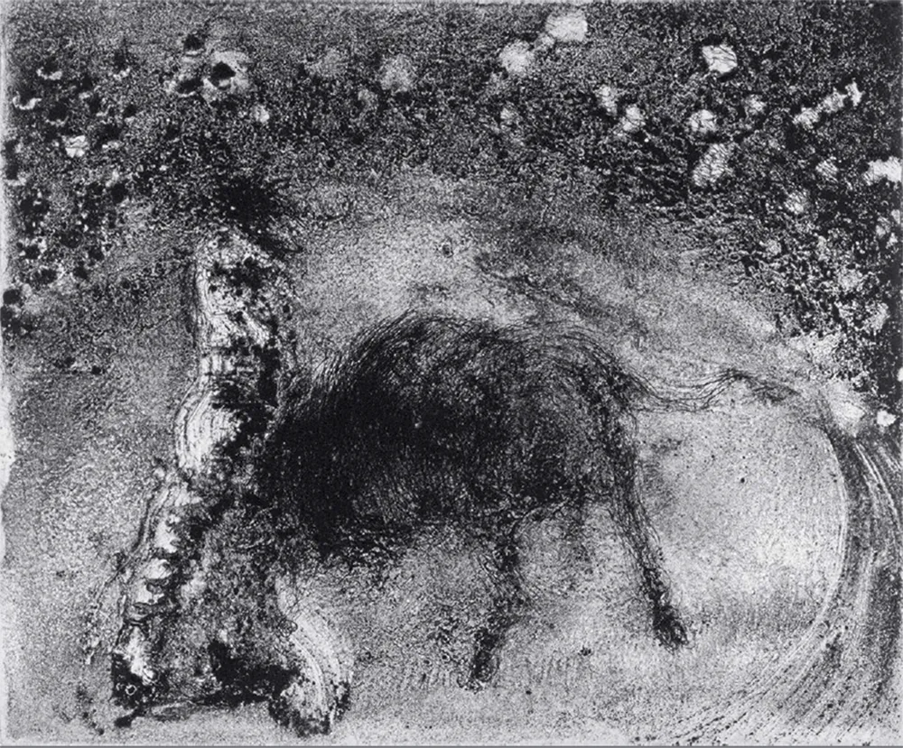 Água-Tinta Barcelo - Lanzarote 50