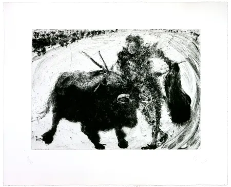 Gravura Barcelo - Lanzarote 53