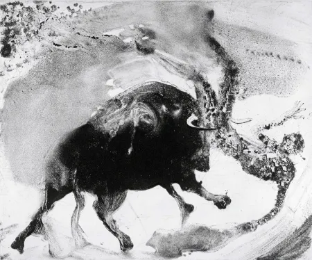 Água-Forte E Água-Tinta Barcelo - Lanzarote 58