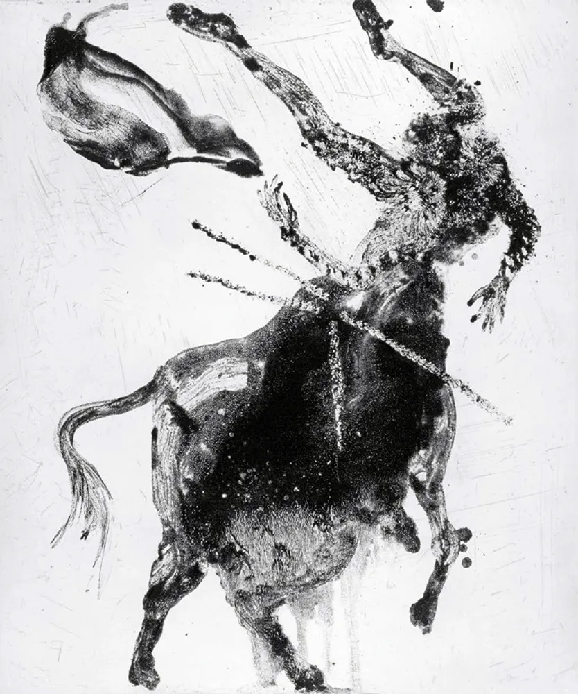 Água-Forte E Água-Tinta Barcelo - Lanzarote 62