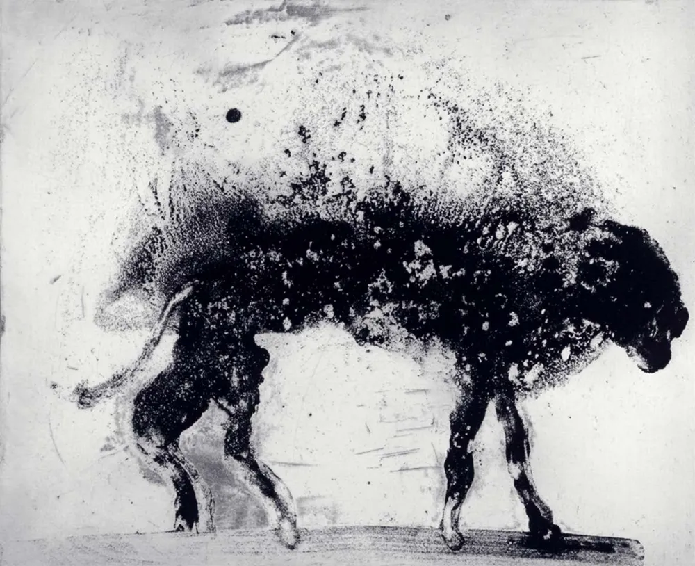 Água-Forte E Água-Tinta Barcelo - Lanzarote 8