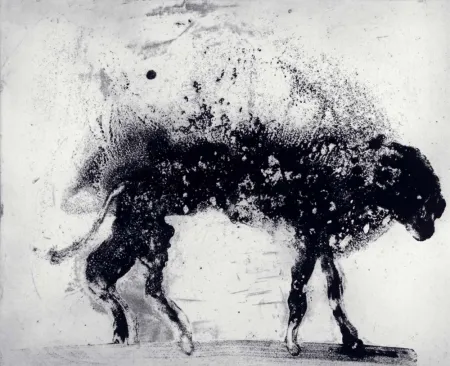 Água-Forte E Água-Tinta Barcelo - Lanzarote 8