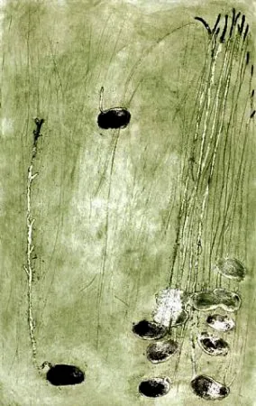 Água-Forte Barcelo - Les Germes