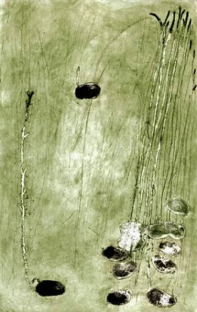 Gravura Barcelo - Les germes 