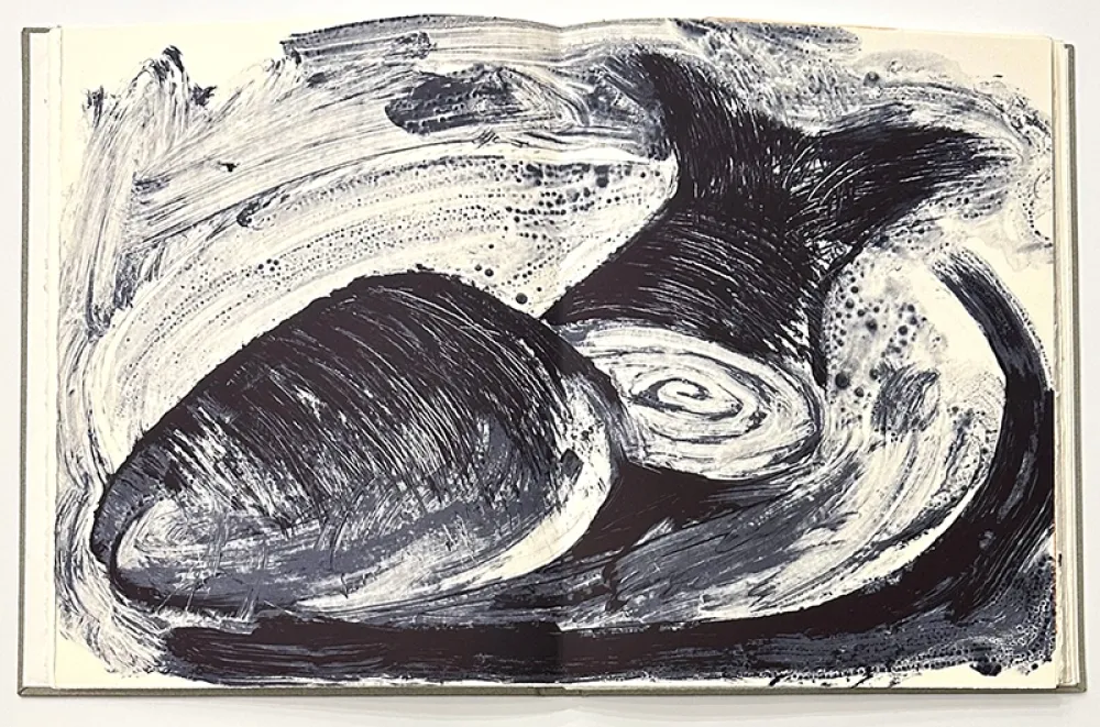 Livro Ilustrado Barcelo - Noise - Deluxe Edition