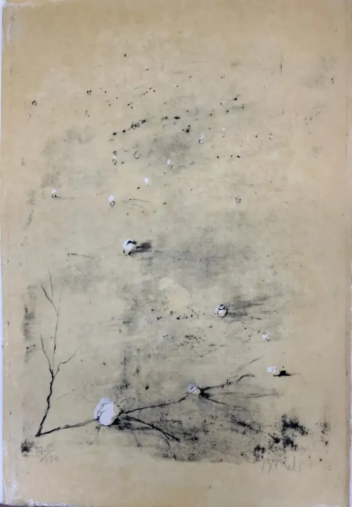 Água-Forte Barcelo - Sekou I