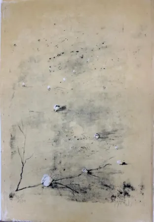 Água-Forte Barcelo - Sekou I