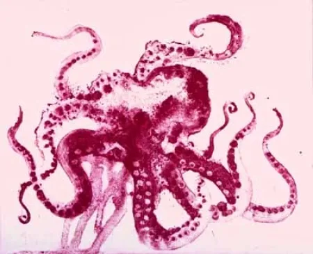 Água-Tinta Barcelo - Serie Lanzarote 13