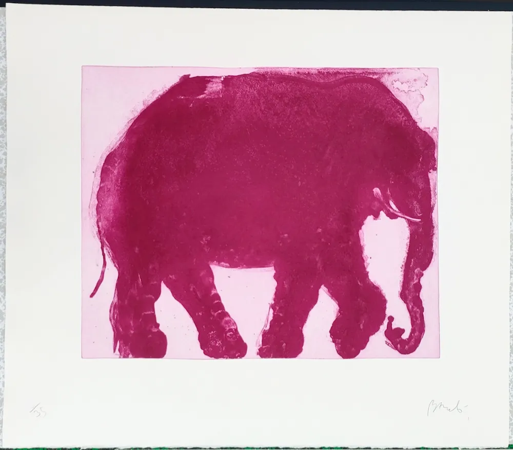Água-Tinta Barcelo - Untitled