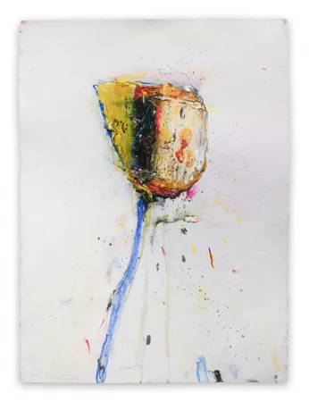 Sem Técnica Baribeau - Stem #204