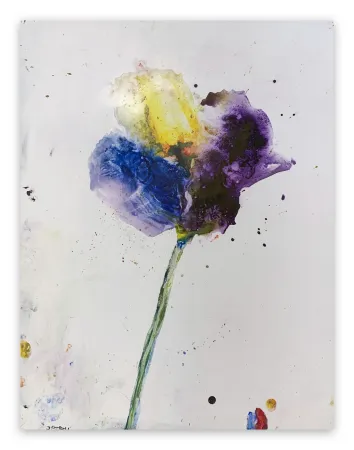 Sem Técnica Baribeau - Stem #28