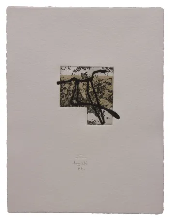 Água-Forte E Água-Tinta Baroja-Collet - Animal