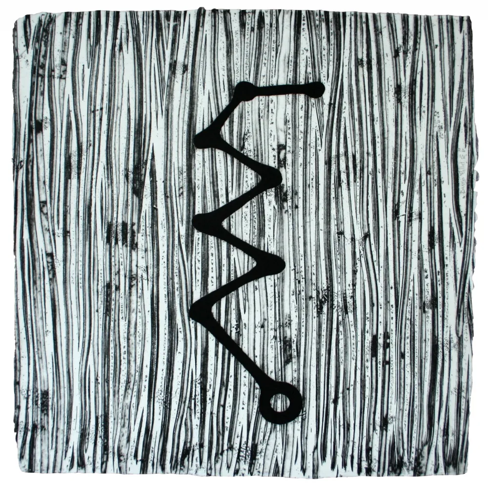 Água-Forte E Água-Tinta Baroja-Collet - Articulación