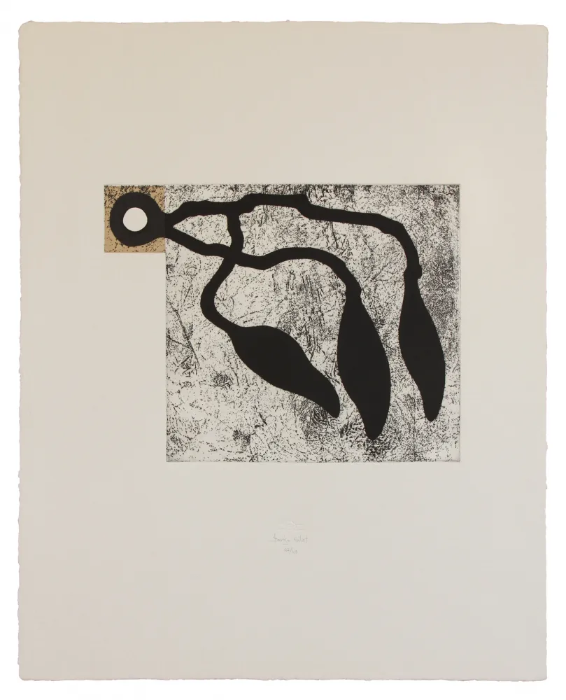 Água-Forte E Água-Tinta Baroja-Collet - Atrapados