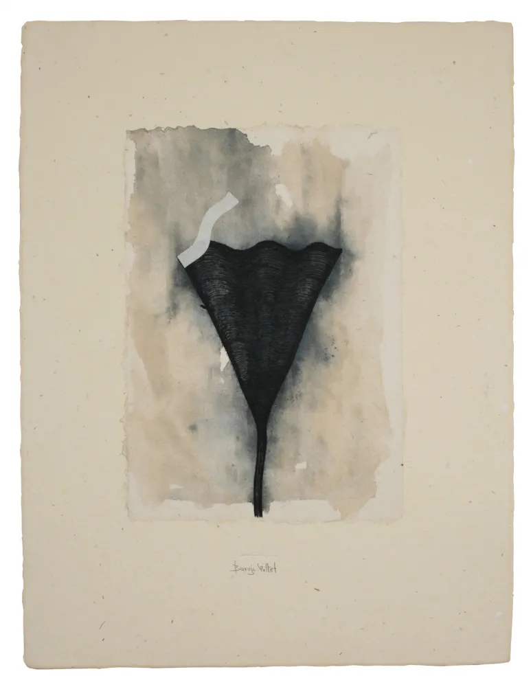 Múltiplo Baroja-Collet - Collage